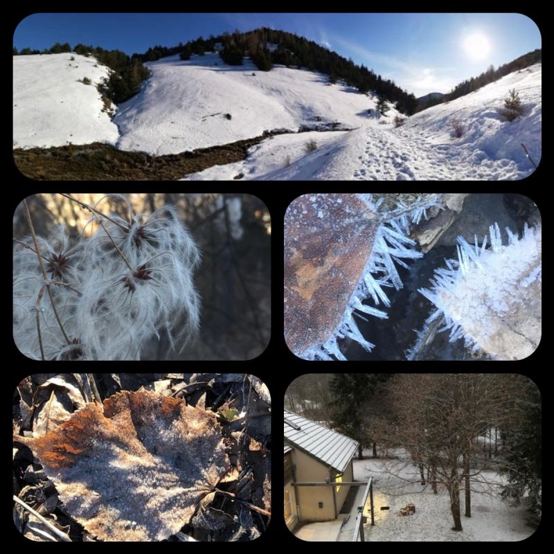 montage de plusieurs photos en hiver aux alentours de la Fontaine de l'ours