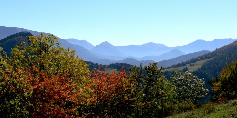 Extrieur pleine nature automne et perspective sur les montagnes